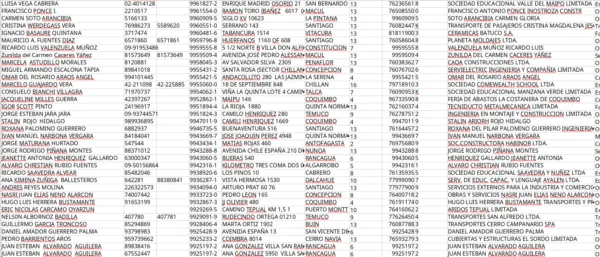 muestra base de datos pymes chile 1